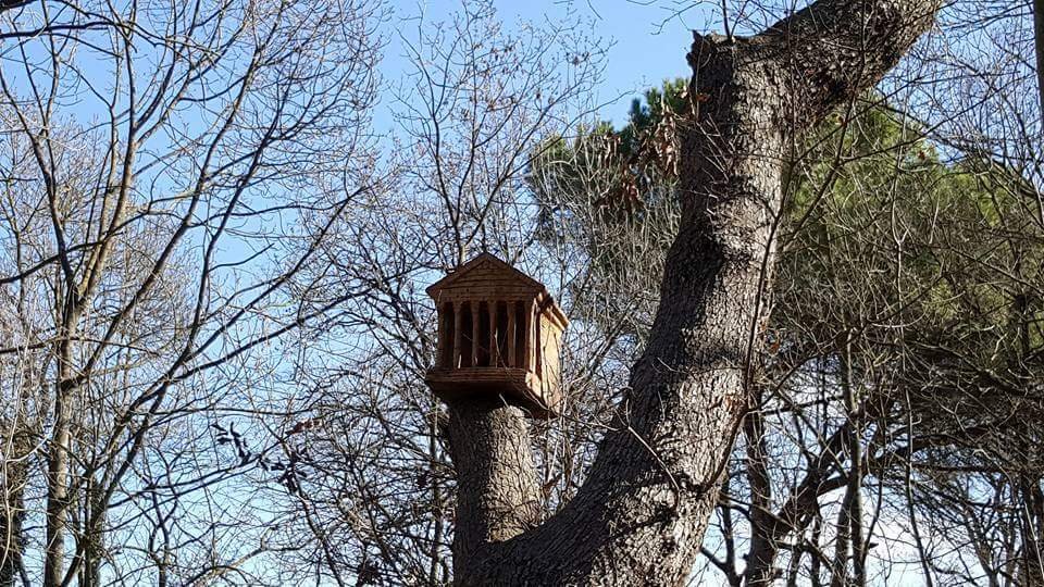 Temple romà niu d'ocells dins del Bosc Encantat